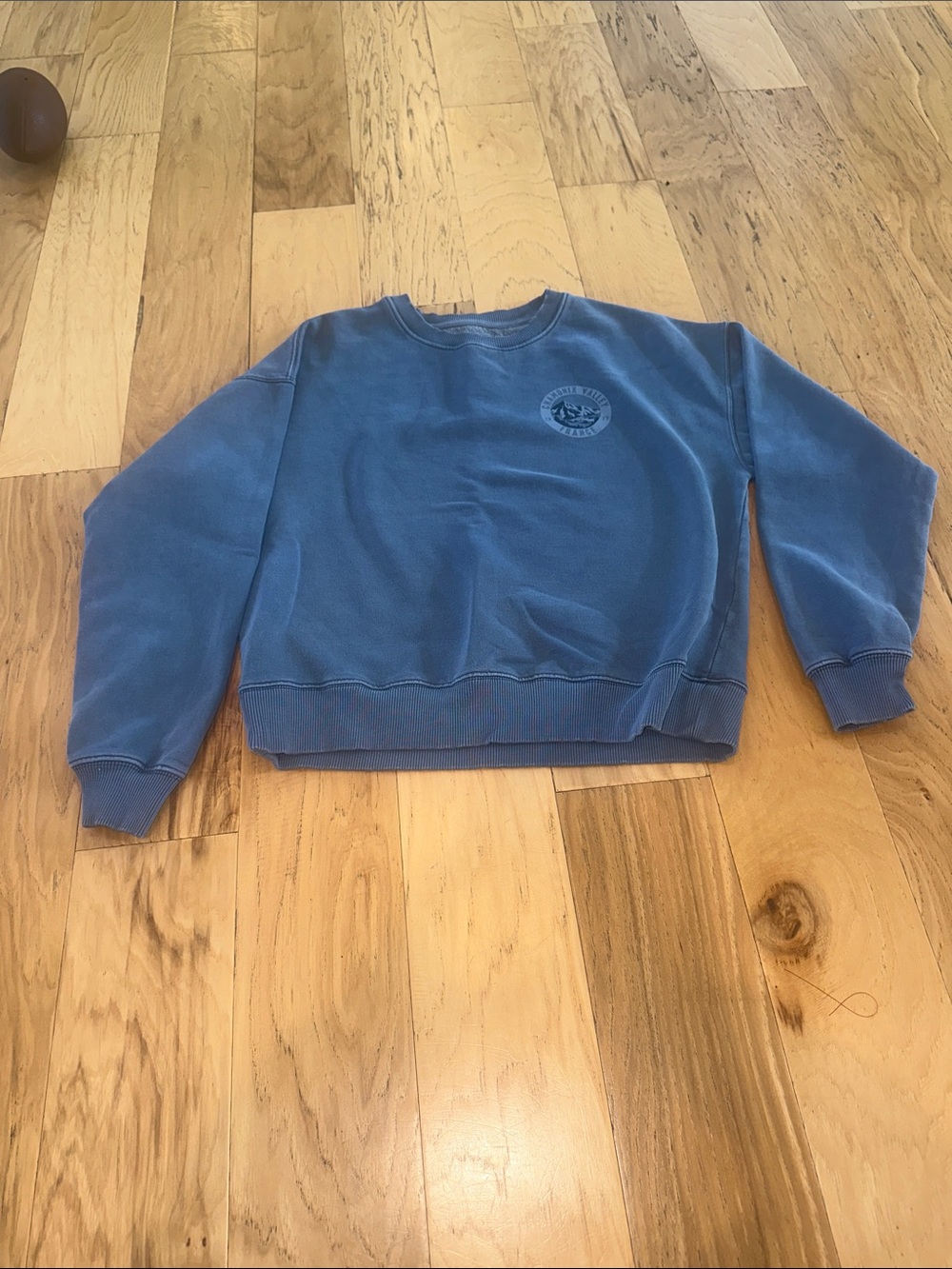 American Eagle Outfitters Blue Crewneck Sweatshirt